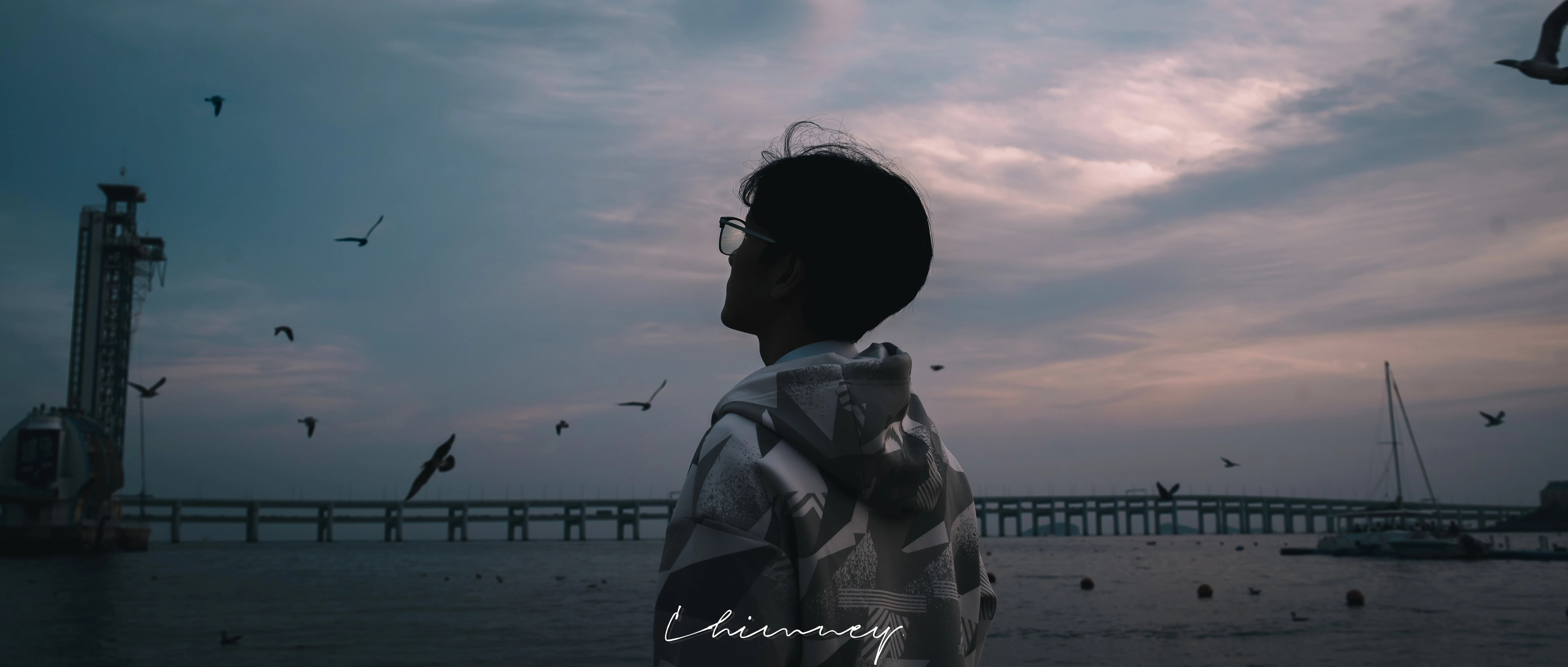 他望向海的时候，海鸟正望向他