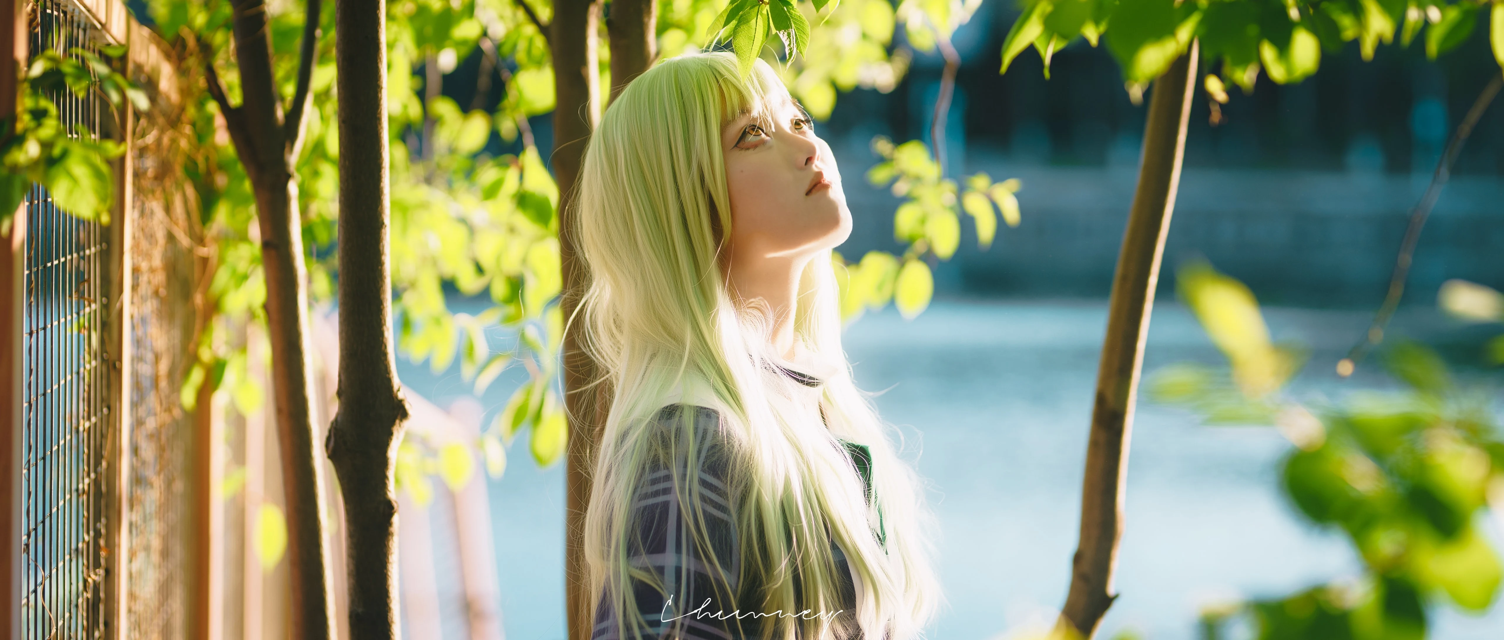 四月的光，路过她的头发