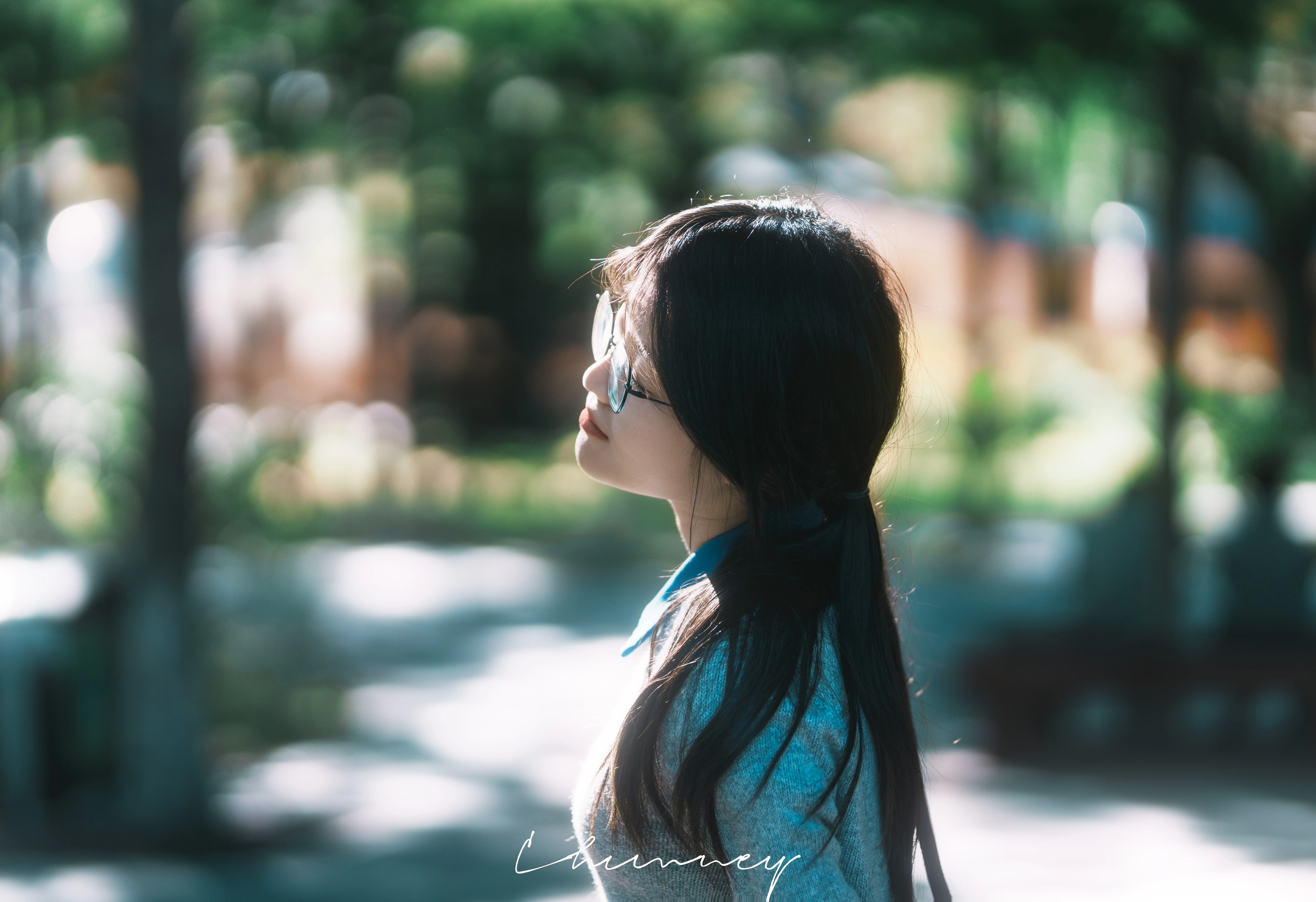 人像集