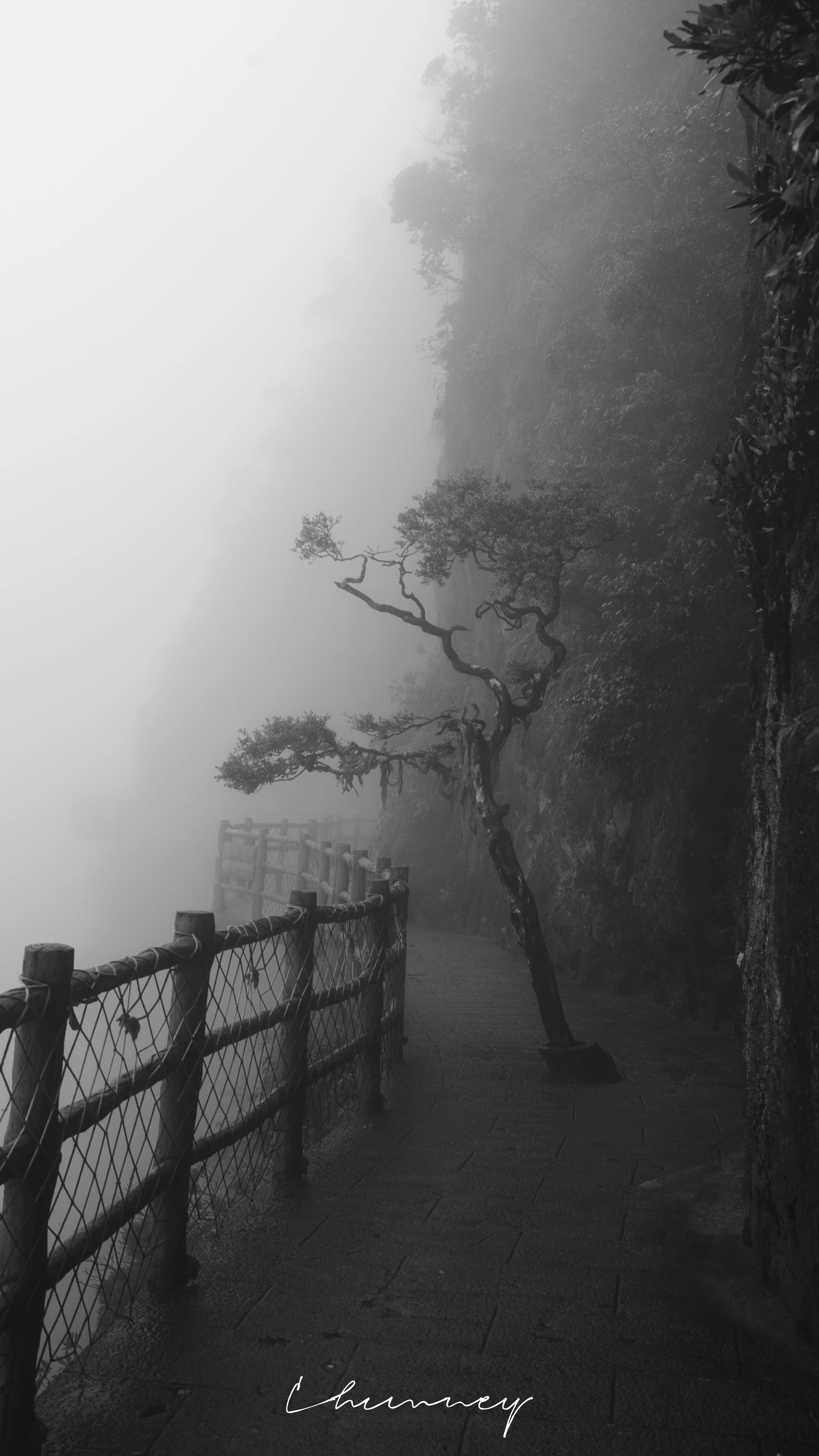 栏杆通向雾，雾通向哪里没人知道